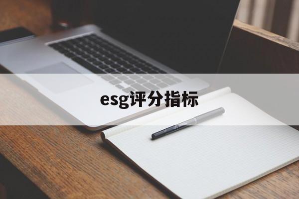 esg评分指标(esg评级是什么意思)