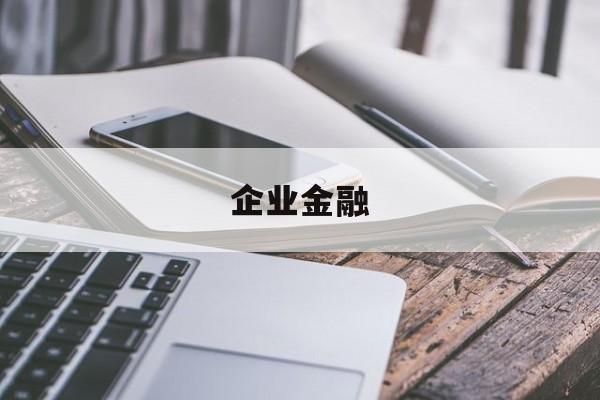 企业金融(正规的融资公司)